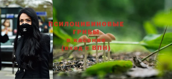 прущий лед Алзамай
