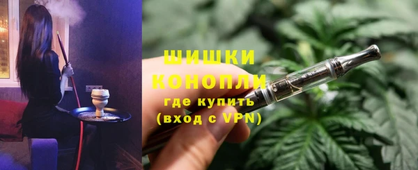PSILOCYBIN Галич