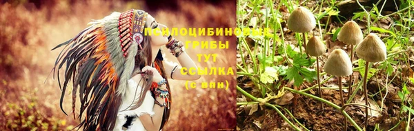 прущий лед Алзамай