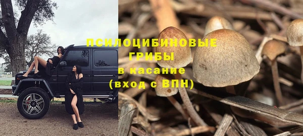 ALPHA PVP Покровск