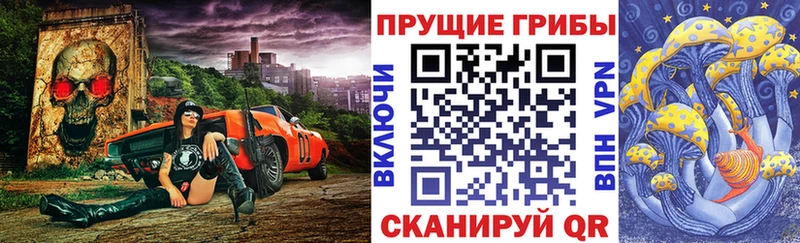 Галлюциногенные грибы GOLDEN TEACHER  где можно купить наркотик  Шелехов 
